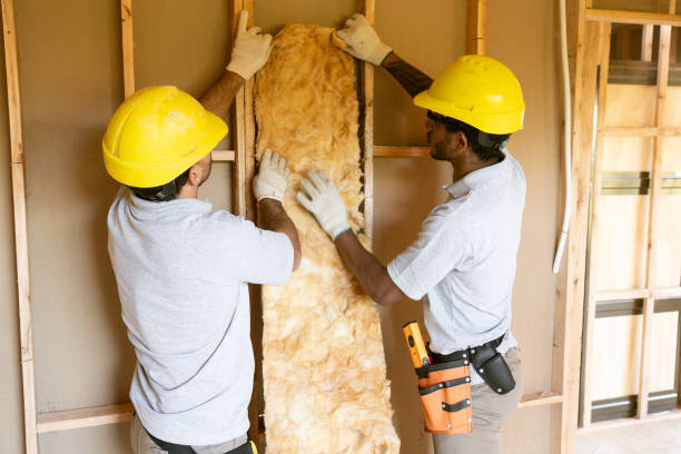 Best Insulation Removal  in Markesan, WI